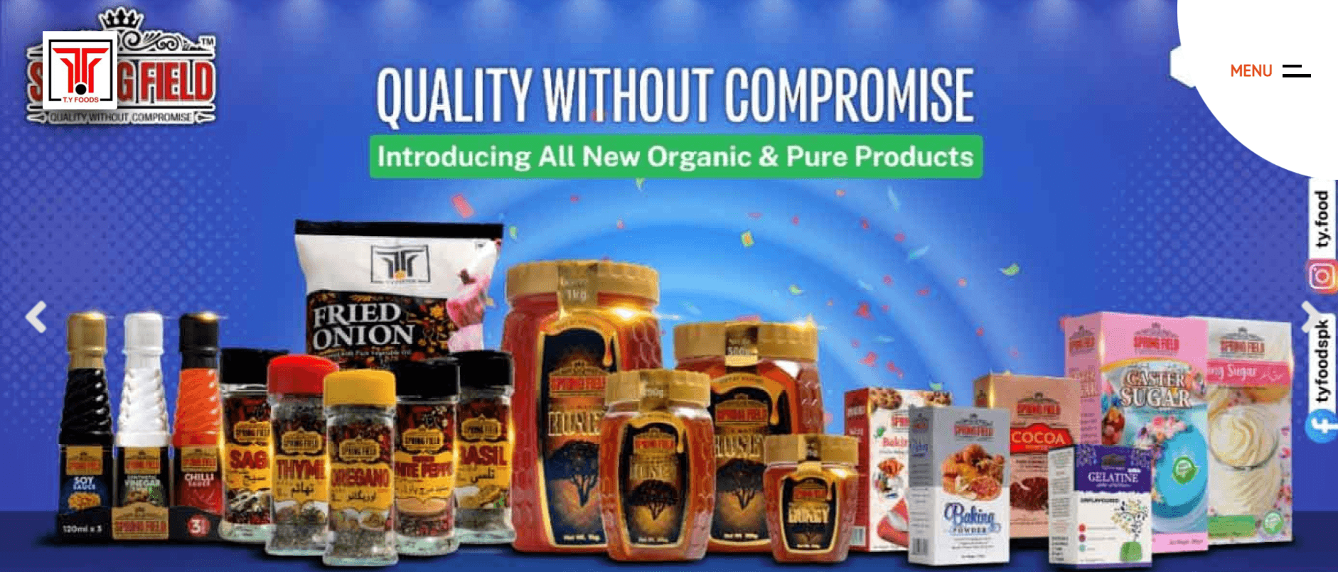 TY Foods Corporate Website preview